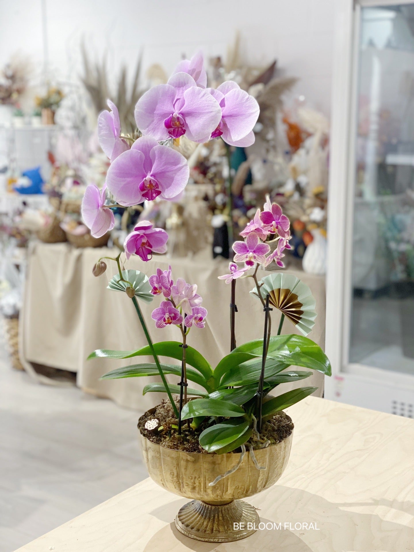 Mixed Orchids Flower Pot A2