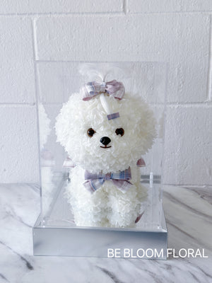 “Maltese Dog”