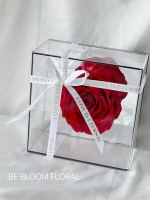 Huge Preserved Rose Mirror Box