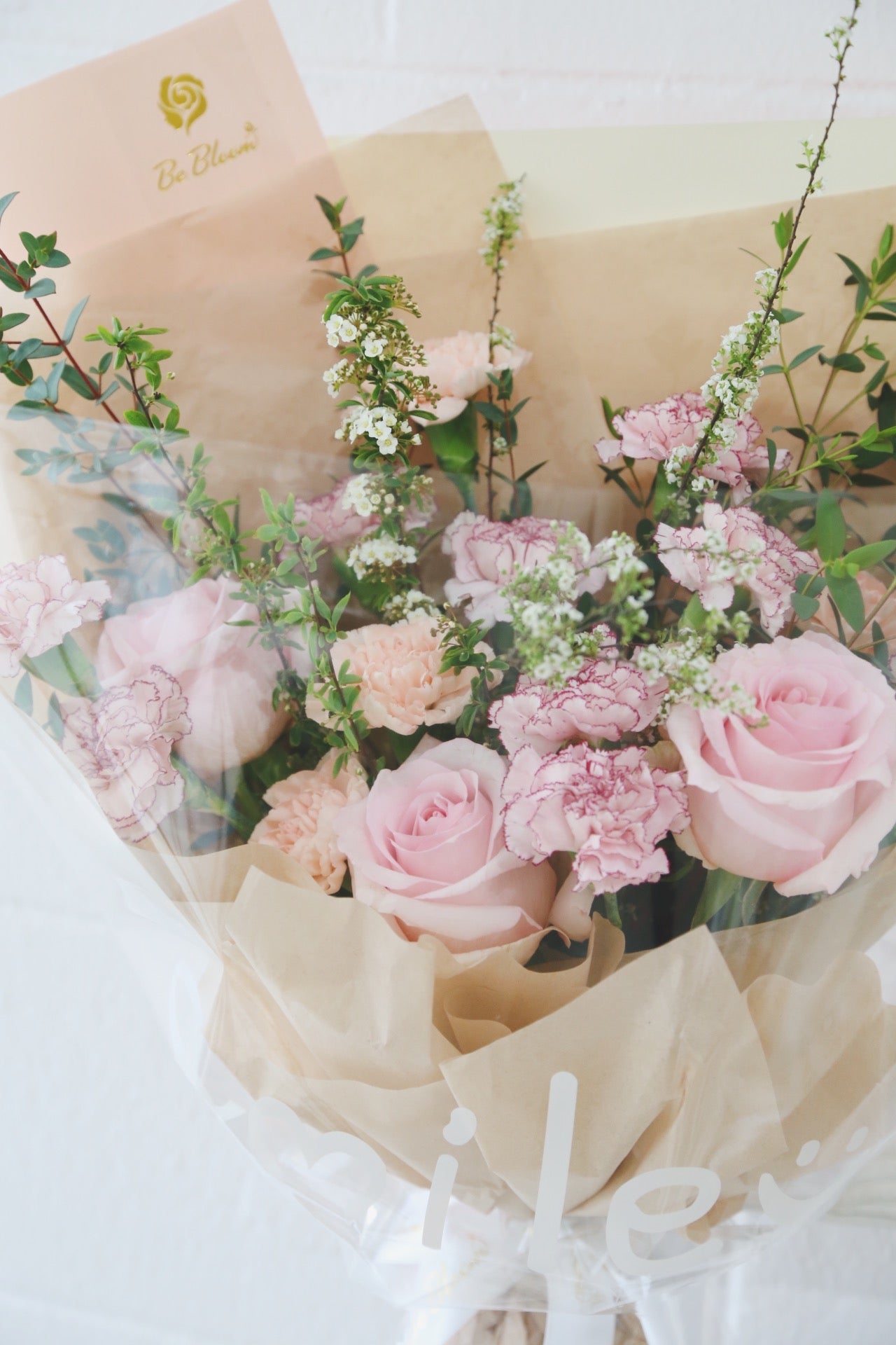 Smile Carnations