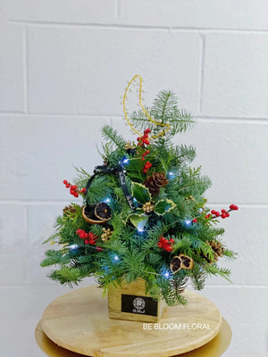 Fresh Cedar & Fir Christmas Tree