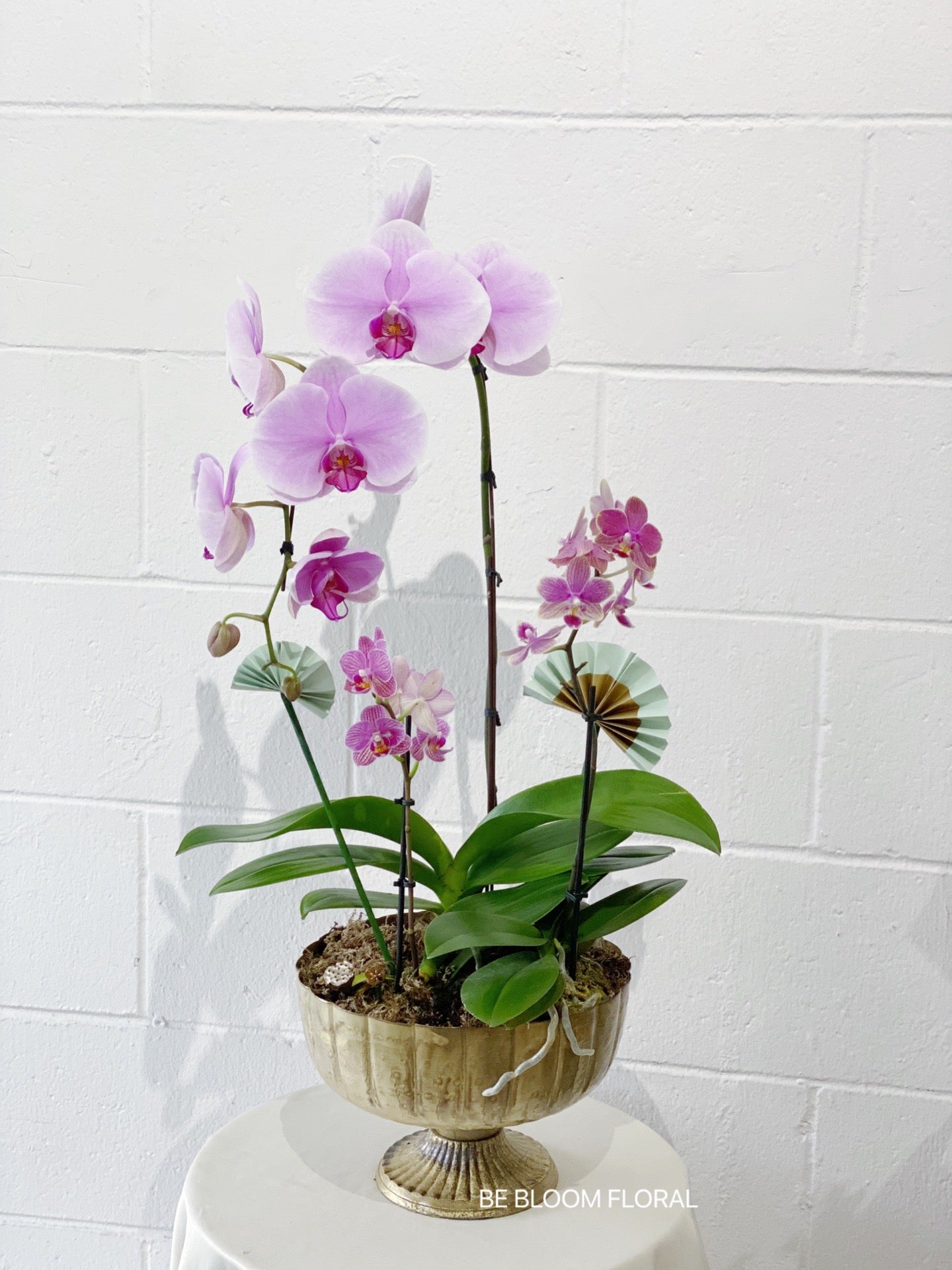 Mixed Orchids Flower Pot A2